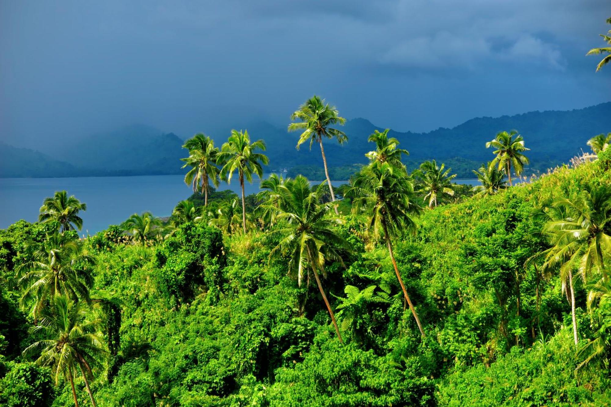 Hotel Latui Loft Savusavu Zewnętrze zdjęcie